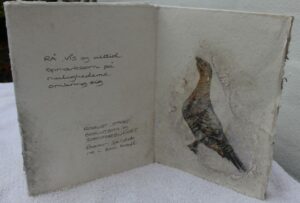 Robust. stærk, beslutsom og jordforbundet. Bærer fjeldets ro i sin kraft 